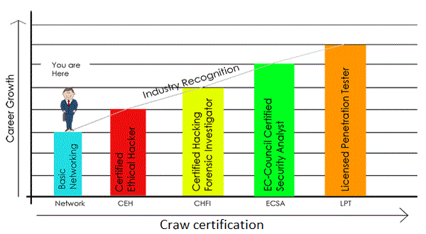 career in ethical hacking