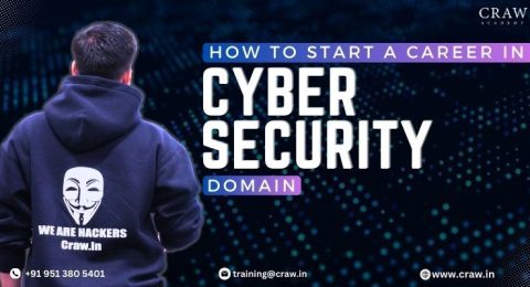 career in cyber security domain