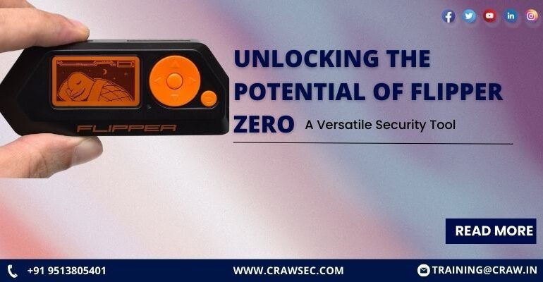 Unlocking the Potential of Flipper Zero