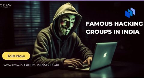 Famous Hacking Groups in India