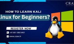 kali linux course for beginers