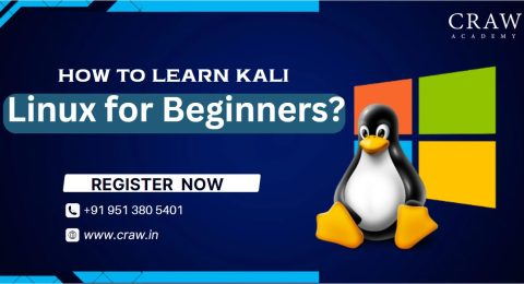 kali linux course for beginers