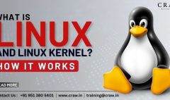 What is Linux and Linux Kernel How It Works