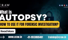 What is Autopsy How to Use It for Forensic Investigation