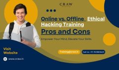 Online vs. Offline Ethical Hacking Training