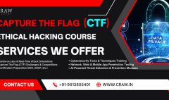 Capture The Flag (CTF) Ethical Hacking Course in India