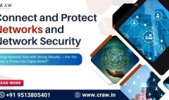 Connect and Protect Networks and Network Security