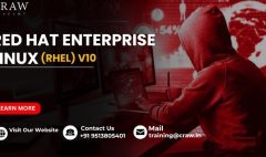 Red Hat Enterprise Linux (RHEL) v10
